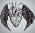 pen drawing of anatomical heart with black angel wings