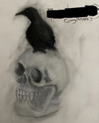 charcoal drawing of a skull with a raven on top of it