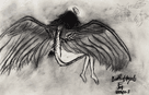 charcoal drawing of a naked woman laying down with wings sprouting out of her back