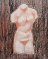 charcoal and pastel drawing of plaster body (front)