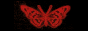black and button red moth white text says crimson sacrifice