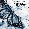 his infernal majesty icon butterfly on left text says rip out the wings of a butterfly