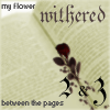 nightwish my flower withered between the pages 2 and 3 icon