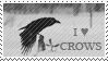 i love crows stamp